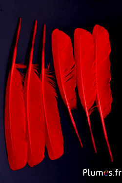Cygne - 30-33 cm - rouge